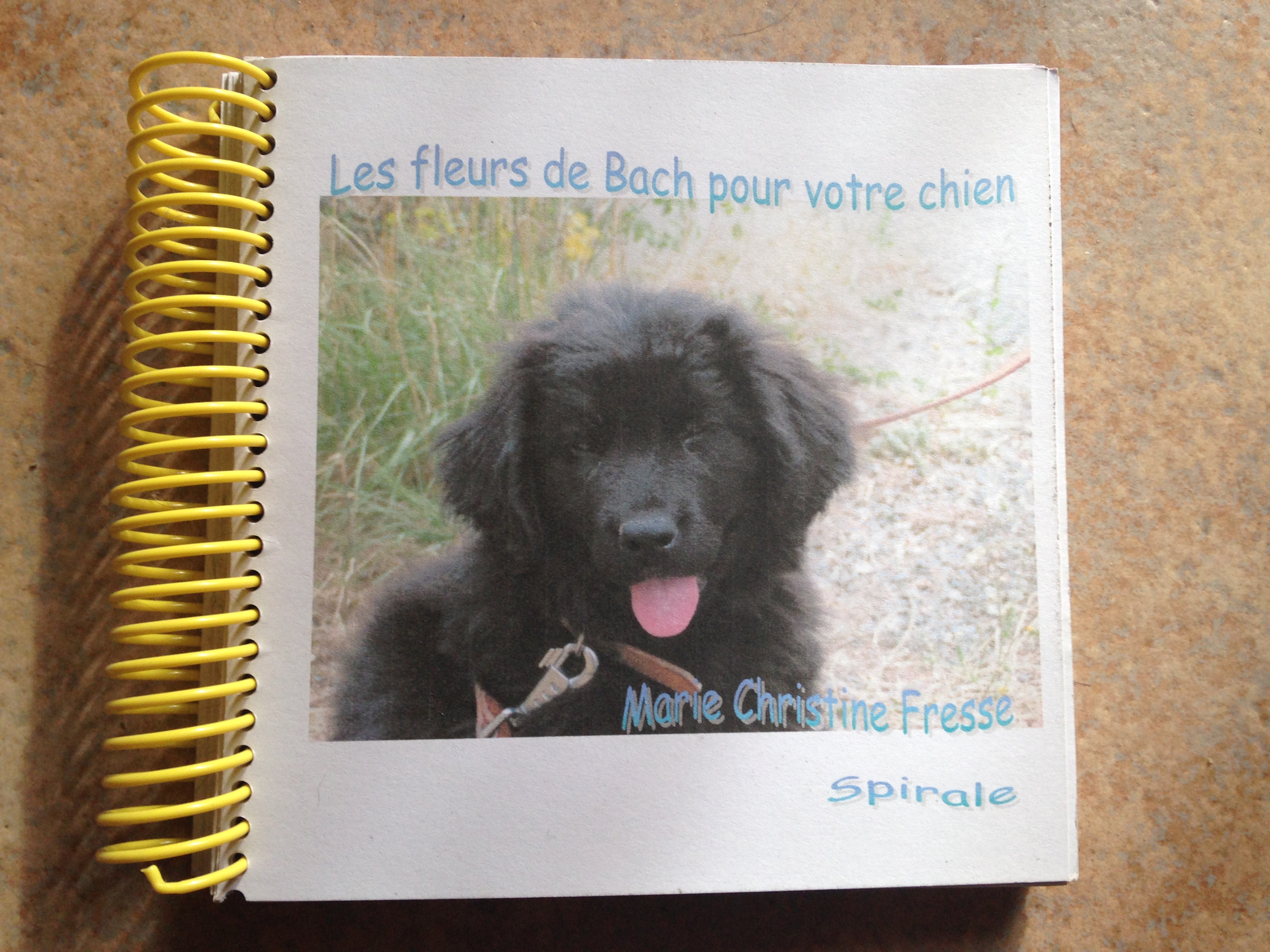 4019bcd7-18e5-4812-bdbb-bc66aa8618cf